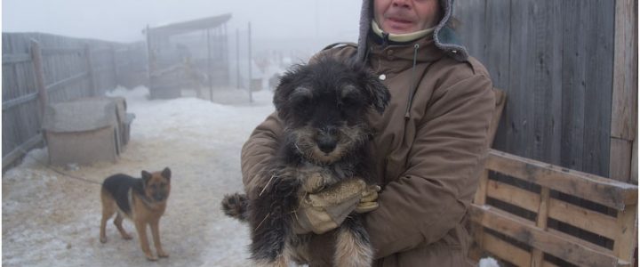 4. Besuch im Tierheim in Gheorgheni