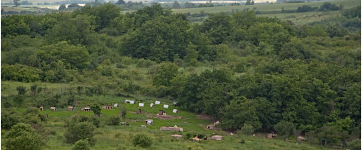 Reisenotizen Gheorgheni 1. bis 28. Juni 2013 mit einem Abstecher nach Oradea