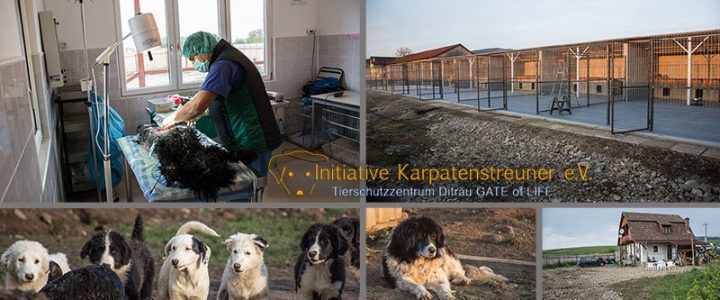 Arbeitsaufenthalt in Ditrău 16. – 21.10.2016