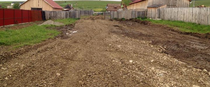 Bautagebuch Zwinger 1 – Update 30. Mai 2016