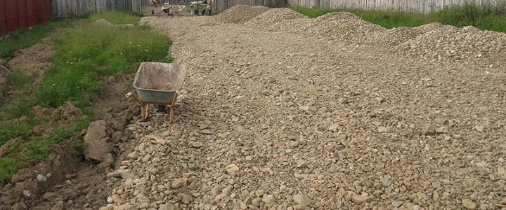 Bautagebuch Zwinger 1 – Update 10. Juni 2016