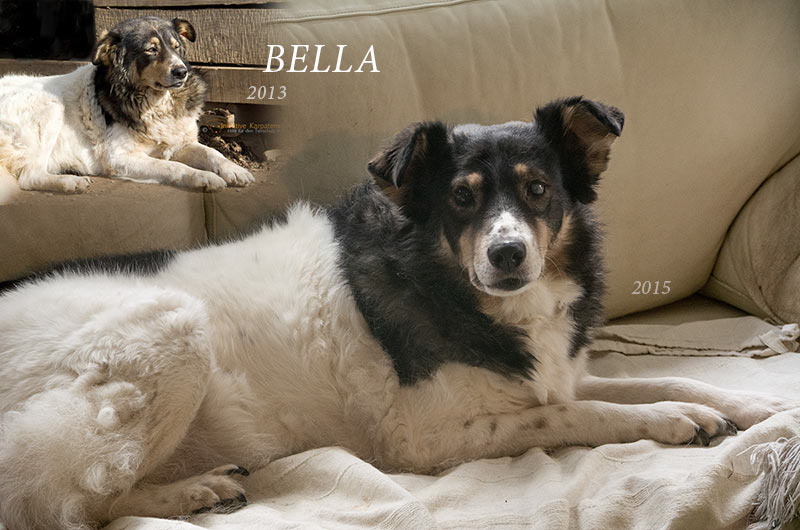Bella