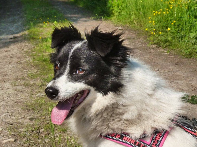 jövö