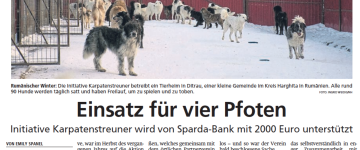 Presseartikel über die Initiative Karpatenstreuner Presseartikel über die Initiative Karpatenstreuner