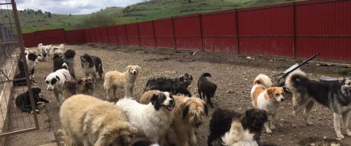 Rundgang durch das Tierheim Rundgang durch das Tierheim