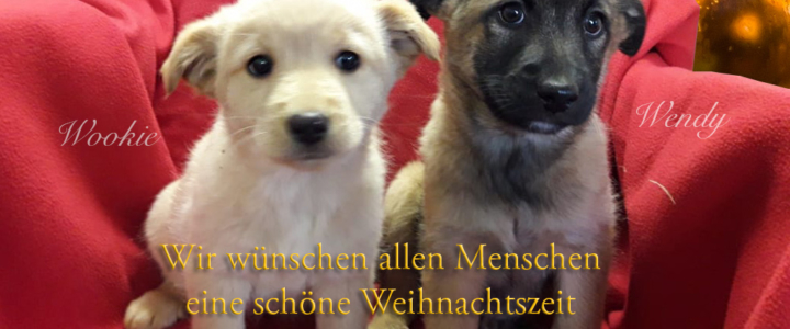 Weihnachten 2020